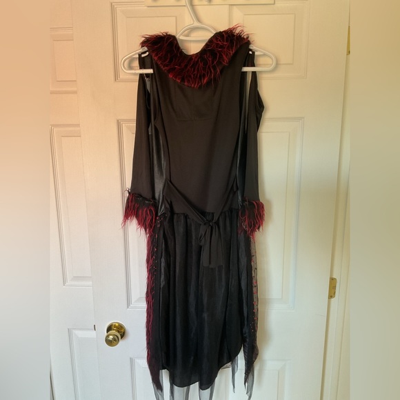 Goth Fairy Costume - Picture 3 of 11